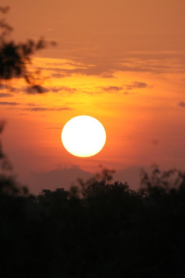 Vila The Ibis - Wilpattu Puttalam Exteriér fotografie