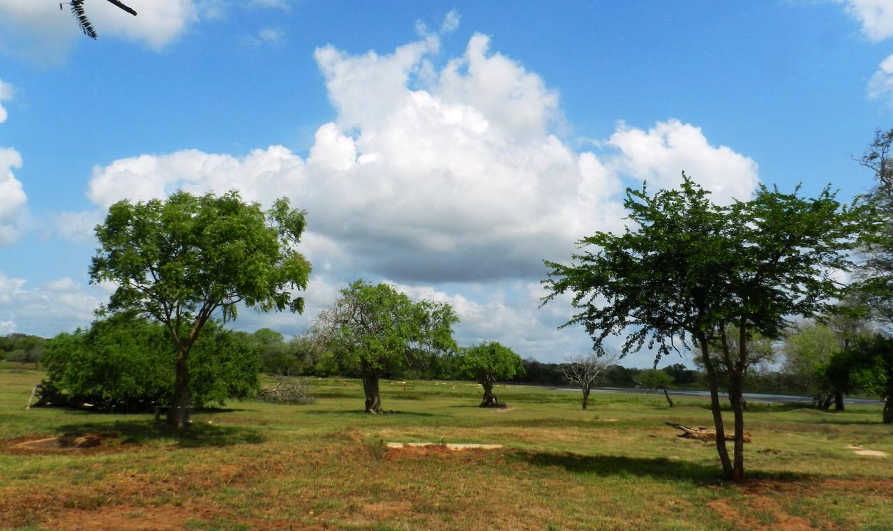 Vila The Ibis - Wilpattu Puttalam Exteriér fotografie