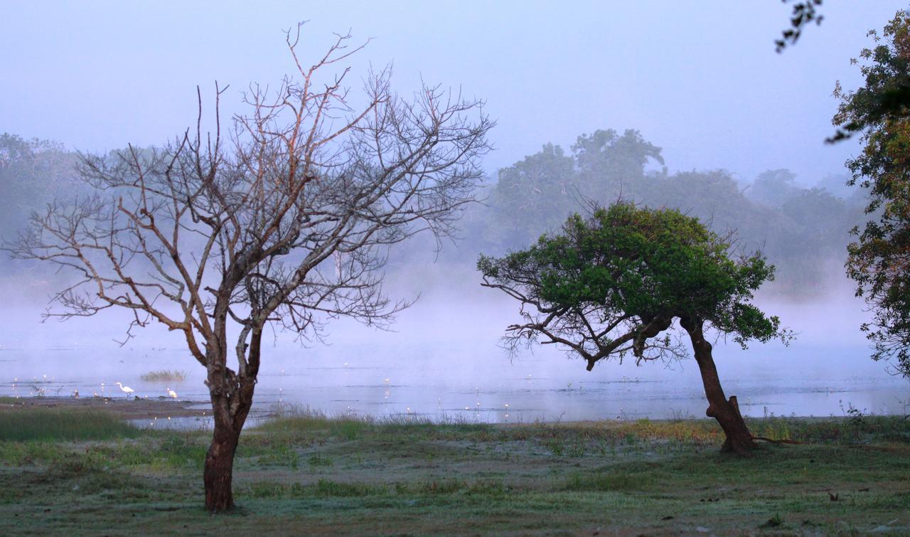 Vila The Ibis - Wilpattu Puttalam Exteriér fotografie