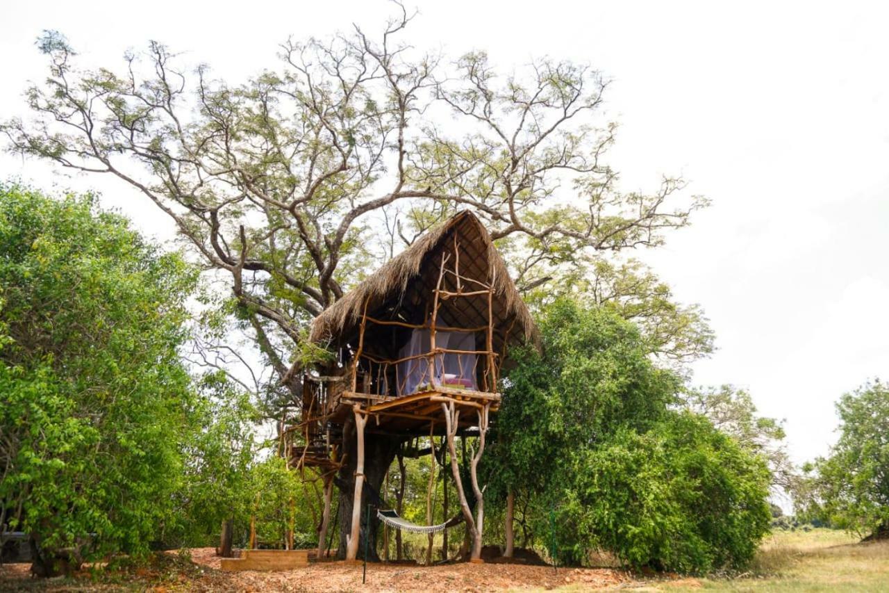 Vila The Ibis - Wilpattu Puttalam Exteriér fotografie